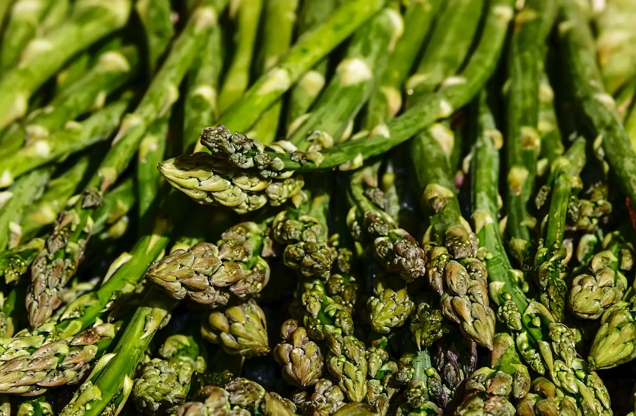 Non comprare asparagi fuori stagione: ecco quando mangiarli per averli più buoni e nutrienti
